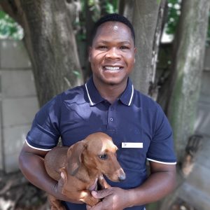 Maxwell - Hennie Alberts Vet kennel hand