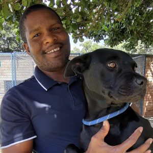 Webster - Hennie Alberts Vet kennel hand