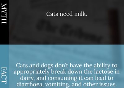 Common Pet Myths Debunked 10/10